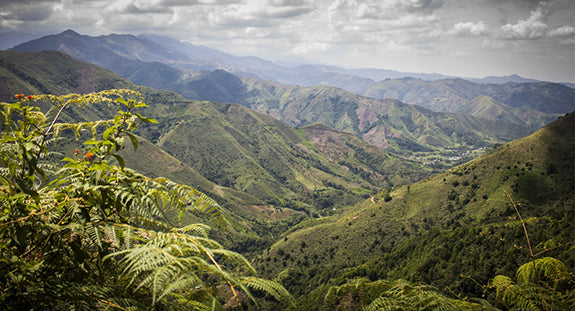Specialty: Macarena, Colombia