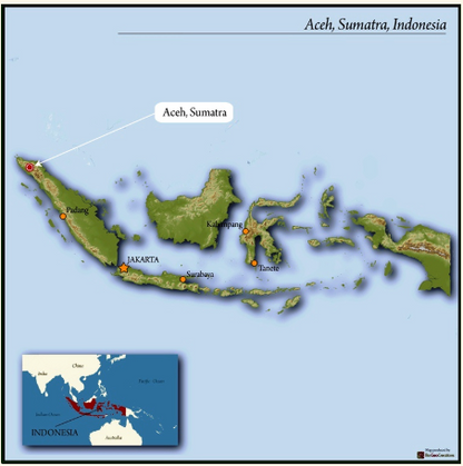 Grade 1: Royale, Sumatra